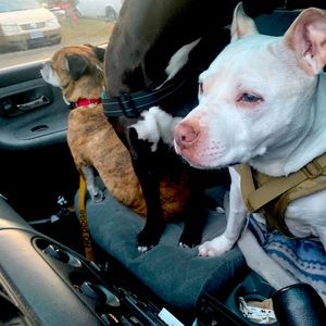 Meet your Posher, Brad